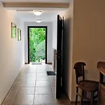 Korona Elbląg