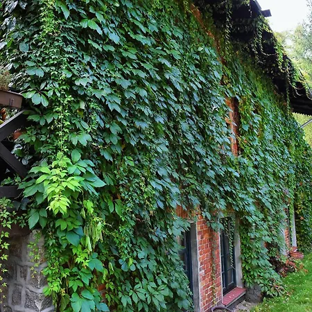 Korona Hostel *