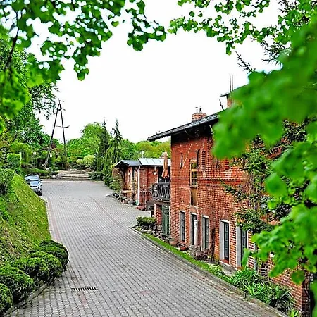 Korona * Elbing
