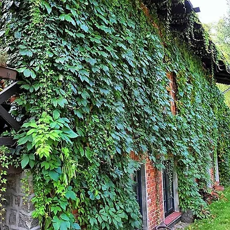 Hostal Korona